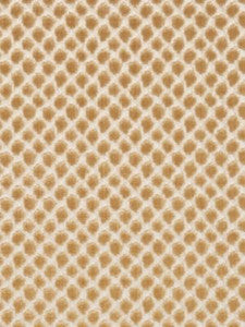 Scalamandre Fabric Etosha Velvet Palomino