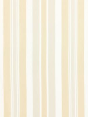 <p>Mayfair Cotton Stripe Pebble SC271120003 by Scalamandre Fabric</p><p><strong>Required Minimum Quantity Purchase: Fabrics by the yard 1 YARD MINIMUM </p><p>Book: CHATHAM STRIPES & PLAIDS</p><p>Content: 100% COTTON</p><p>Origin: INDIA</p><p>Performance: LIGHT DUTY</p><p>Repeat: Horizontal: and Vertical: 13.5"</p><p>Width: 54</p>
