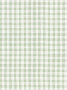 Scalamandre Fabric Swedish Linen Check Willow