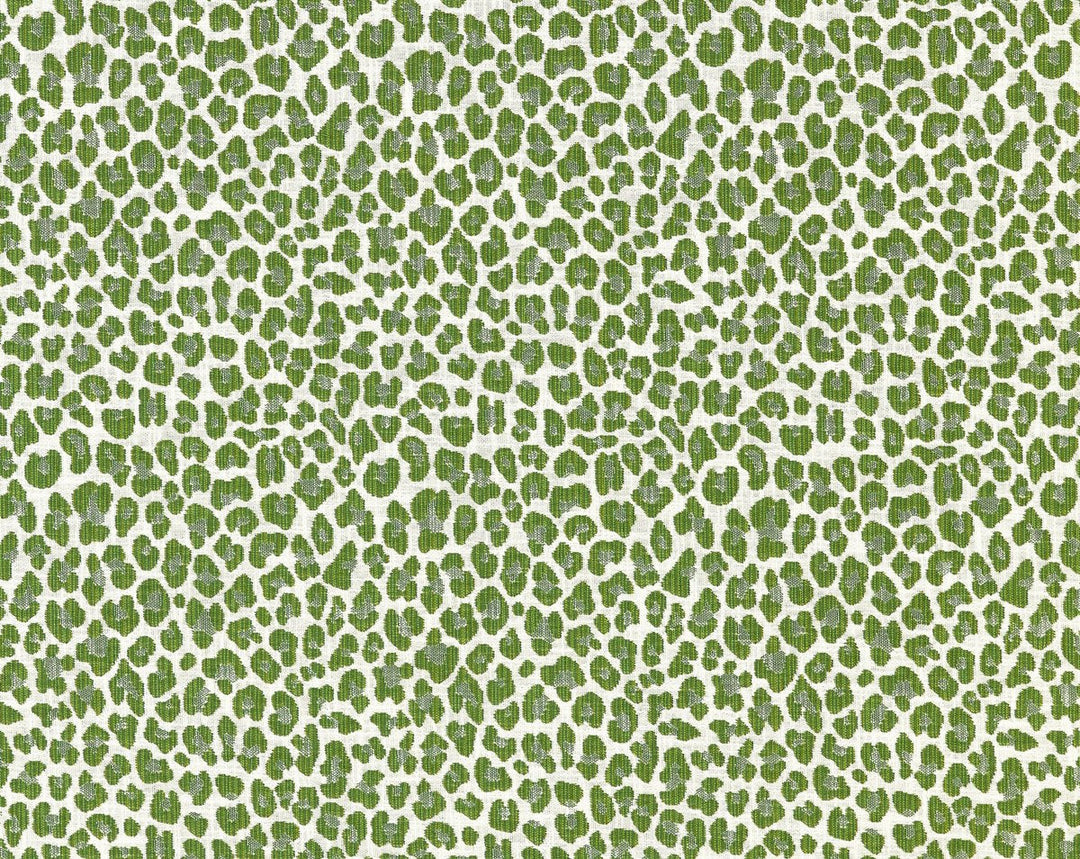 Backyard Bengal Ivy SC273160003 by Scalamandre Designer Fabric