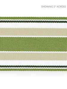 Scalamandre Trim Marina Stripe Tape Palm