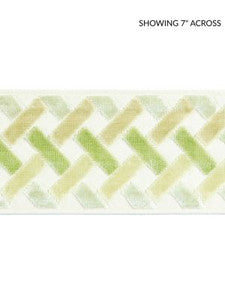 Scalamandre Trim Parquet Velvet Tape Meadow