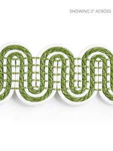 Scalamandre Trim Serpentine Braid Palm
