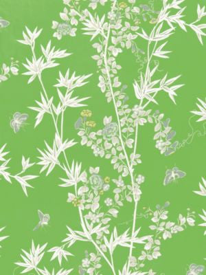 <p>Jardin De Chine Print Jade SC166080004 by Scalamandre Fabric</p><p><strong>Required Minimum Quantity Purchase: Fabrics by the yard 1 YARD MINIMUM </p><p>Book: LA BOHEME</p><p>Content: 100% COTTON</p><p>Origin: UNITED KINGDOM</p><p>Performance: MEDIUM DUTY</p><p>Repeat: Horizontal: 46" and Vertical: 27"</p><p>Width: 54</p>
