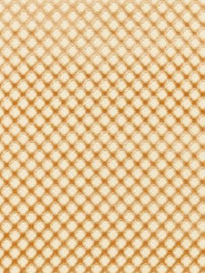 Scalamandre Fabric Pomfret | Silk Coffee On Beige