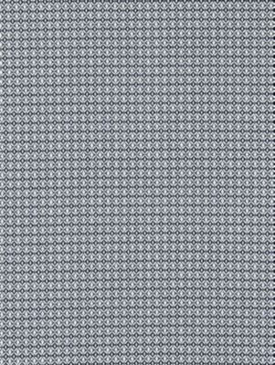 <p>Bird'S Eye Weave Navy SC270680004 by Scalamandre Fabric</p><p><strong>Required Minimum Quantity Purchase: Fabrics by the yard 1 YARD MINIMUM </p><p>Book: ENDLESS SUMMER INDOOR / OUTDOOR</p><p>Content: 100% POLYPROPYLENE</p><p>Origin: BELGIUM</p><p>Performance: MEDIUM DUTY</p><p>Repeat: Horizontal: 0.375" and Vertical: 0.375"</p><p>Width: 57</p>