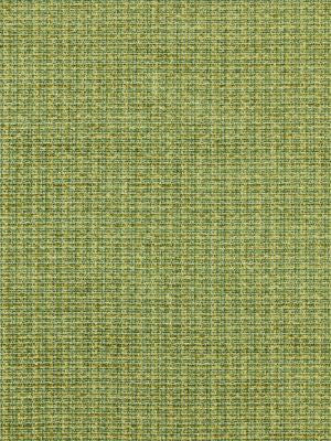 <p>Highland Chenille Grass SC272570004 by Scalamandre Fabric</p><p><strong>Required Minimum Quantity Purchase: Fabrics by the yard 1 YARD MINIMUM </p><p>Book: SAHARA</p><p>Content: 84% COTTON 16% POLYESTER</p><p>Origin: ITALY</p><p>Performance: MEDIUM DUTY</p><p>Repeat: Horizontal: 0" and Vertical: 0"</p><p>Width: 54</p>