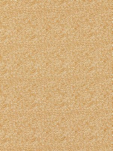 Scalamandre Fabric Shagreen Beige