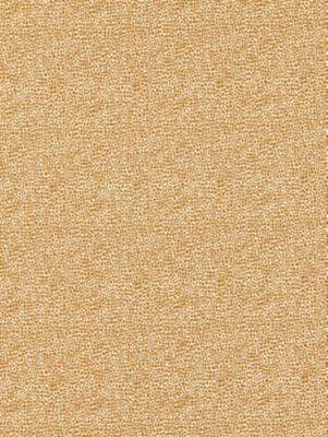 <p>Shagreen Beige SC26914M0006 by Scalamandre Fabric</p><p><strong>Required Minimum Quantity Purchase: Fabrics by the yard 1 YARD MINIMUM </p><p>Book: ORIANA</p><p>Content: 45% COTTON 40% POLYESTER 15% VISCOSE</p><p>Origin: FRANCE</p><p>Performance: MEDIUM DUTY</p><p>Repeat: Horizontal: and Vertical: </p><p>Width: 55</p>