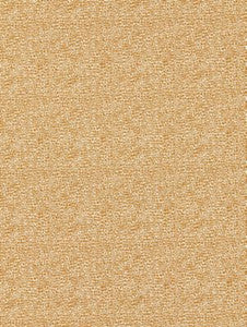 Scalamandre Fabric Shagreen Beige