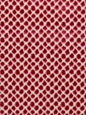 <p>Etosha Velvet Framboise SC270220006 by Scalamandre Fabric</p><p><strong>Required Minimum Quantity Purchase: Fabrics by the yard 1 YARD MINIMUM </p><p>Book: MODERN NATURE</p><p>Content: 45% RAYON 28% VISCOSE 27% COTTON</p><p>Origin: INDIA</p><p>Performance: HEAVY DUTY</p><p>Repeat: Horizontal: and Vertical: </p><p>Width: 55</p>