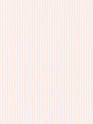 <p>Kent Stripe Petal Pink SC363950009 by Scalamandre Fabric</p><p><strong>Required Minimum Quantity Purchase: Fabrics by the yard 1 YARD MINIMUM </p><p>Book: CHATHAM STRIPES & PLAIDS</p><p>Content: 100% COTTON</p><p>Origin: INDIA</p><p>Performance: LIGHT DUTY</p><p>Repeat: Horizontal: and Vertical: .25"</p><p>Width: 54</p>