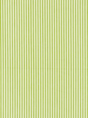 Kent Stripe Pear SC363950012 by Scalamandre Designer Fabric CHATHAM STRIPES & PLAIDS 100% COTTON INDIA LIGHT DUTY Horizontal: and Vertical: .25" 54 - Swanky Fabrics -