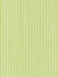 Scalamandre Fabric Kent Stripe Pear