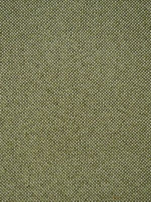 City Tweed Bonsai SC272490021 by Scalamandre Designer Fabric TRIO - PERFORMANCE 66% ACRYLIC 34% POLYESTER GERMANY HEAVY DUTY Horizontal: 0" and Vertical: 0" 58 - Swanky Fabrics -