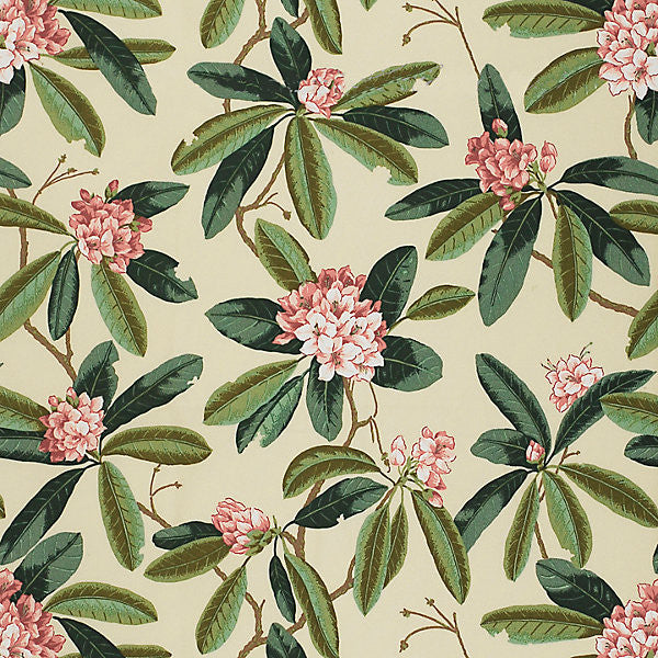 Rhododendron - Outdoor/Reds & Greens On Cream 16454-001 by Scalamandre Fabric 100% SOLUTION DYED POLYESTER ITALY MEDIUM DUTY Horizontal: 24.75" and Vertical: 27" 54" - Fabric Carolina -