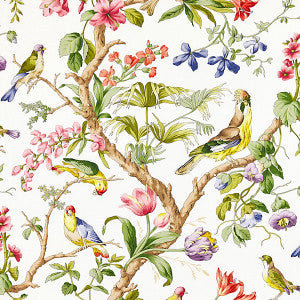 Belize/Ivory by Scalamandre Fabric