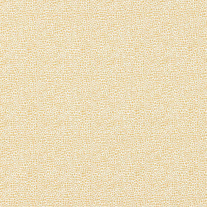 Shagreen Champagne by Scalamandre
 Fabric