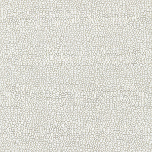Stingray/Flax by Scalamandre Fabric