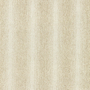 Despres Weave Fawn by Scalamandre
 Fabric
