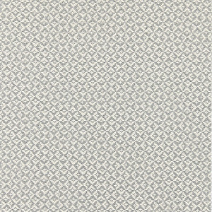 Khiva Weave Pearl Grey by Scalamandre
 Fabric