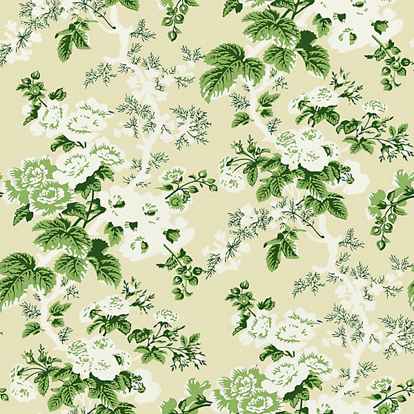 Ascot Floral Print/Verdure WP88372-001 by Scalamandre Wallpaper USA Horizontal: and Vertical: 27" - Fabric Carolina -