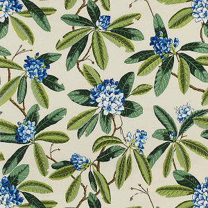 Rhododendron Outdoor Blues & Greens On Ivory by Scalamandre
 Fabric