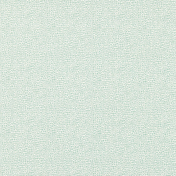 Shagreen/Aquamarine by Scalamandre Fabric Scalamandre Fabric Shagreen/AquamarineFabric ORIANA 45% COTTON 40% POLYESTER 15% VISCOSE FRANCE </p><p>Repeat: H: , V: 55" - Fabric Carolina -