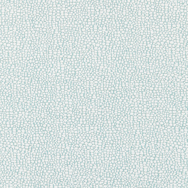 Stingray/Surf 27064-002 by Scalamandre Fabric SCALAMANDRE WAREHOUSE 100% POLYOLEFIN USA LIGHT DUTY Horizontal: 19" and Vertical: 13.5" 54" - Fabric Carolina -