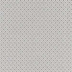 Roatan Weave/Pearl Grey by Scalamandre Fabric