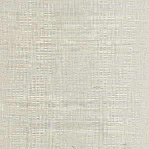 Metal Sisal/Ice Sc 0002Wp88338 by Scalamandre
 Wallpaper