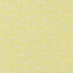 Shagreen Seagrass by Scalamandre
 Fabric