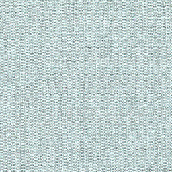 Canvas/Surf 27067-003 by Scalamandre Fabric ENDLESS SUMMER INDOOR / OUTDOOR 100% POLYPROPYLENE BELGIUM HEAVY DUTY Horizontal: and Vertical: 57" - Fabric Carolina -