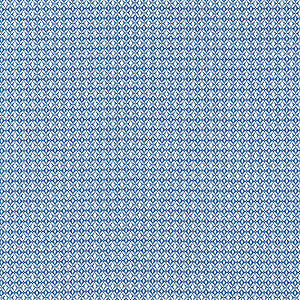 Bird'S Eye Weave Azure by Scalamandre
 Fabric
