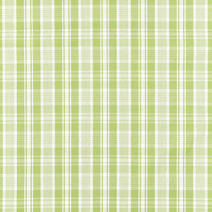 Preston Cotton Plaid Pear by Scalamandre
 Fabric