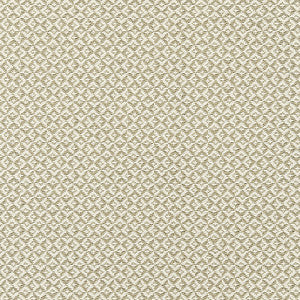 Khiva Weave Flax by Scalamandre
 Fabric