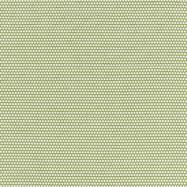 Corsica Weave/Palm 27190-003 by Scalamandre Fabric ISOLA INDOOR / OUTDOOR 100% POLYOLEFIN USA HEAVY DUTY Horizontal: .688" and Vertical: .313" 54" - Fabric Carolina -