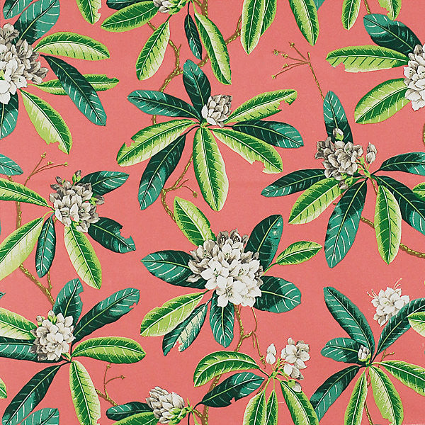 Rhododendron - Outdoor/Greys & Greens On Flamingo 16454-004 by Scalamandre Fabric 100% SOLUTION DYED POLYESTER ITALY MEDIUM DUTY Horizontal: 24.75" and Vertical: 27" 54" - Fabric Carolina -