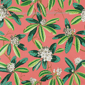 Rhododendron Outdoor Greys & Greens On Flamingo by Scalamandre
 Fabric