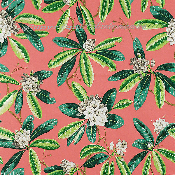 Rhododendron - Outdoor/Greys & Greens On Flamingo 16454-004 by Scalamandre Fabric SCALAMANDRE WAREHOUSE 100% SOLUTION DYED POLYESTER ITALY MEDIUM DUTY Horizontal: 24.75" and Vertical: 27" 54" - Fabric Carolina -