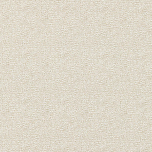 Shagreen/Pearl Grey Sc 000426914M by Scalamandre
 Fabric