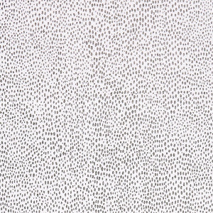 Raindrop Graphite by Scalamandre
 Fabric