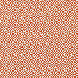 Khiva Weave Poppy by Scalamandre
 Fabric