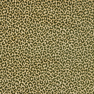 Panthera Velvet Moss by Scalamandre
 Fabric