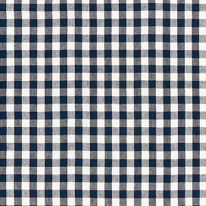 Swedish Linen Check/Indigo Sc 000527166 by Scalamandre
 Fabric