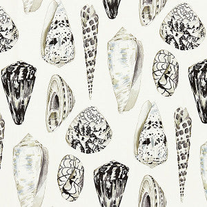 Coquina/Graphite Sc 0006Wp88365 by Scalamandre
 Wallpaper
