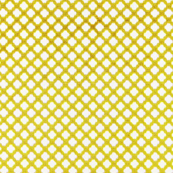 Pomfret/Chartreuse 26692M-020 by Scalamandre Fabric BOTANICA STOCKED AT 53% COTTON;47% VISCOSE INDIA MEDIUM DUTY Horizontal: 1" and Vertical: 1" 55" - Fabric Carolina -