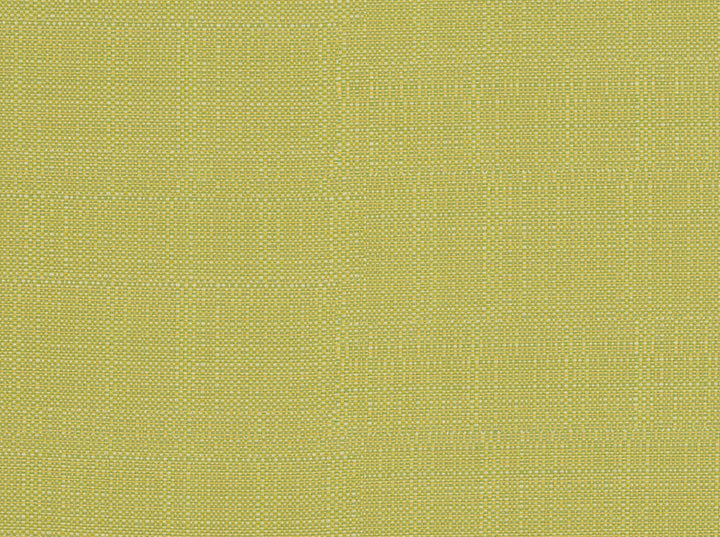 Sd-Clearwater Acid Green 244 by Covington Fabric 100% POLYPROPYLENE VAR 30000 Horizontal: 0.5 and Vertical: 0.5 54 - Fabric Carolina -