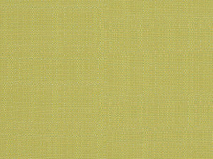 Sd-Clearwater Acid Green 244 by Covington Fabric