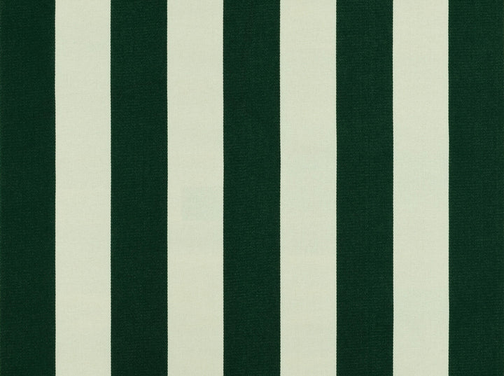 Sd-Polo Stripe Foliage 247 by Covington Fabric 100% POLYPROPYLENE MEX 50000 Horizontal: 5.25 and Vertical: 0 56 - Fabric Carolina -